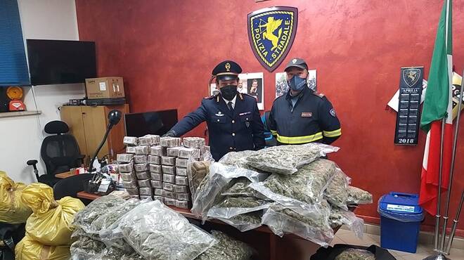 Pomezia, 200 chili di droga nascosta… fra i peperoni: tre arresti
