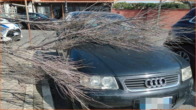 Il vento sferza Fiumicino: rami crollano sulle auto parcheggiate