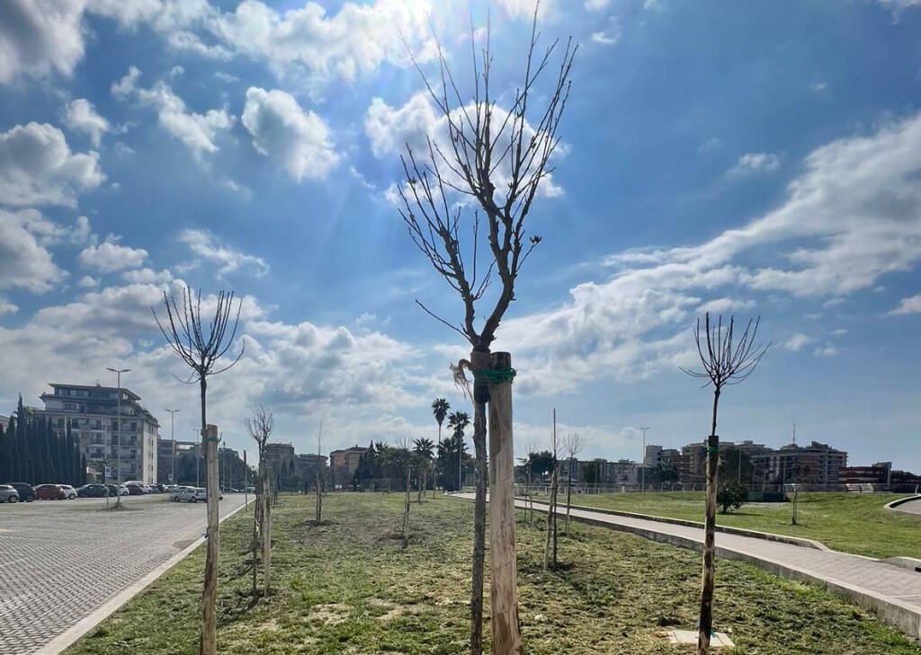 Ucraina, il 20 marzo Giornata di Preghiera e solidarietà nella diocesi di Latina