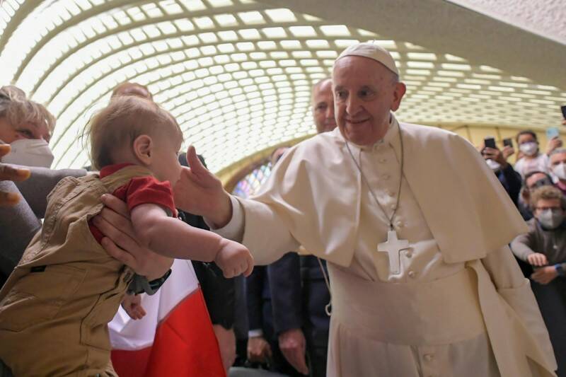 papa francesco udienza