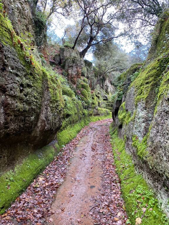 Il Parco Archeologico di Cerveteri e Tarquinia: nuove opportunità di sviluppo turistico-culturali