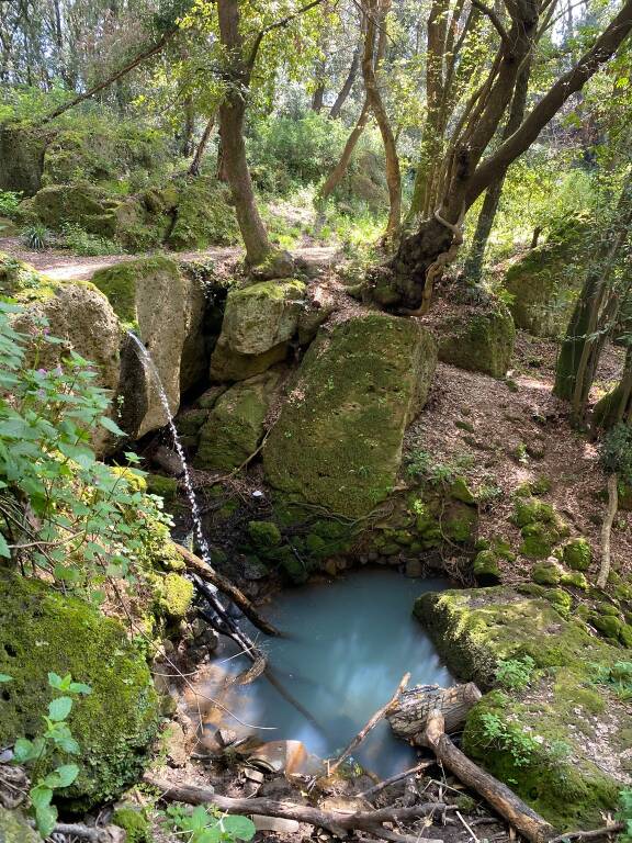 Il Parco Archeologico di Cerveteri e Tarquinia: nuove opportunità di sviluppo turistico-culturali