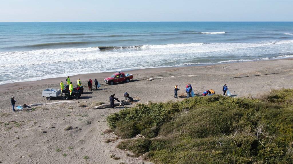 Spiaggia di Montalto sommersa dalla plastica, i volontari raccolgono 10 quintali di rifiuti