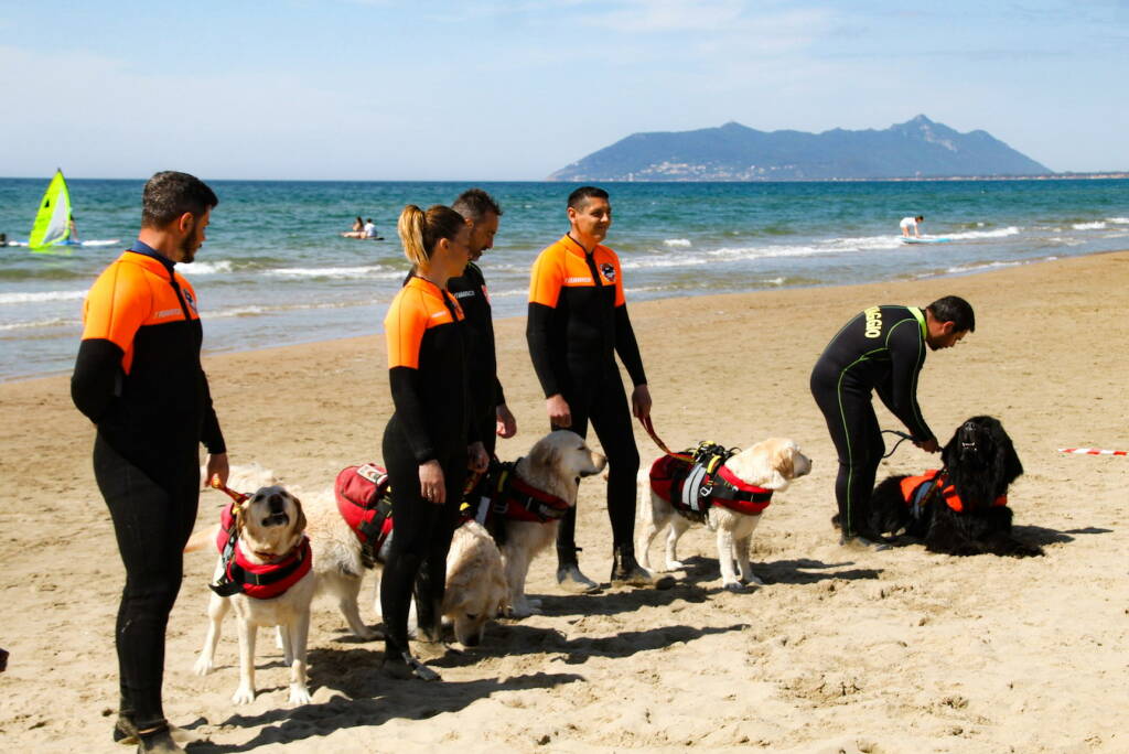 Cani di salvataggio a Terracina, l’allenamento per salvare vite umane