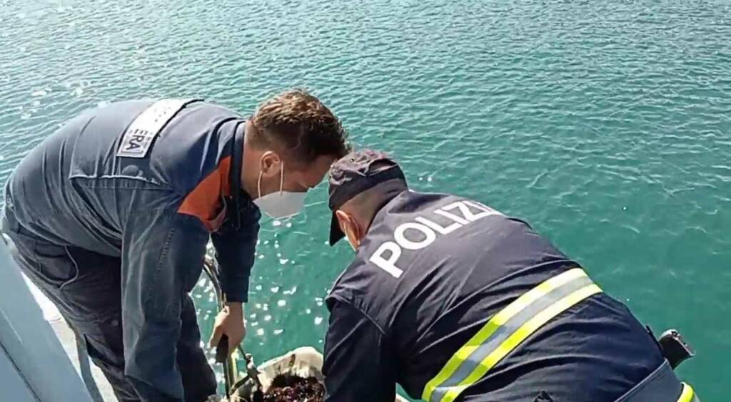 Pesca di frodo nel Golfo di Gaeta, fermati con 2.500 ricci di mare: multe e sequestri