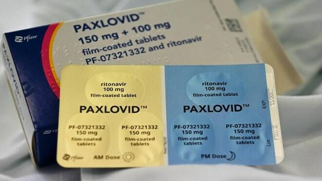 Nelle farmacie arriva la pillola anti-Covid Paxlovid. A chi è destinato e come funzione: le linee guida