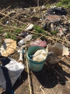 Volontari all’opera per ripulire Macchina Vecchia di Pantano: raccolti 190 chili di rifiuti