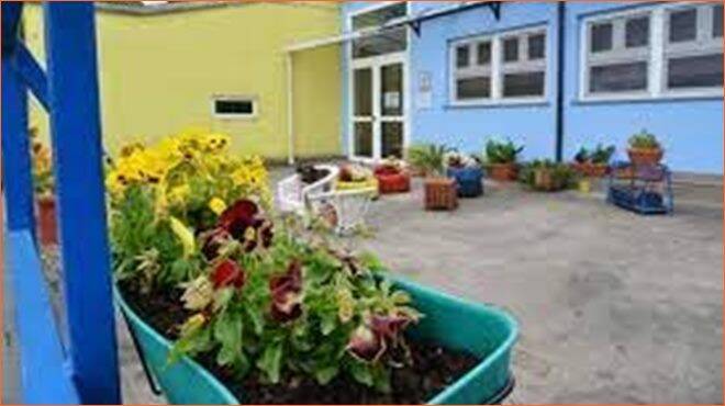 Fiumicino, cade un grosso ramo nel giardino dell’asilo “Isola dei Tesori”: scuola chiusa lunedì 9 maggio 