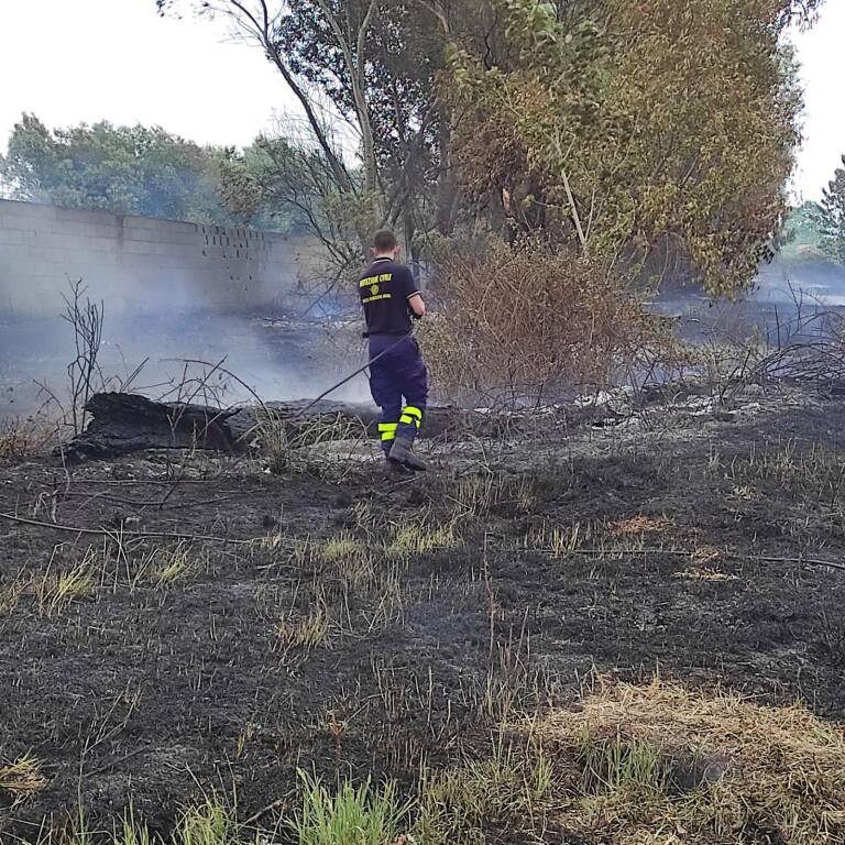 Incendio a Tor San Lorenzo: sterpaglie e alberi bruciano lungo via Laurentina