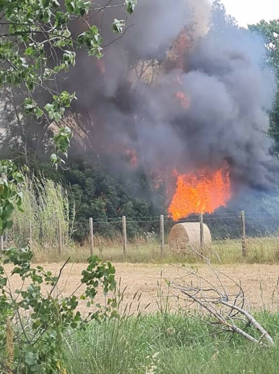 Incendio a Tor San Lorenzo: sterpaglie e alberi bruciano lungo via Laurentina