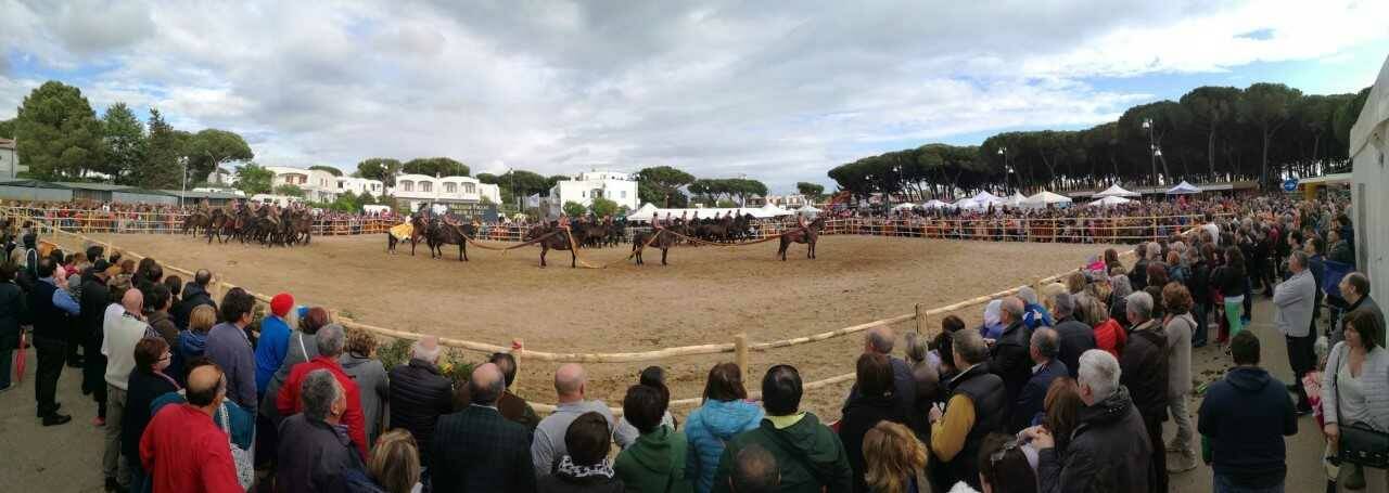 Torna a Montalto “Maremma D’aMare”, al via VII edizione della fiera delle tradizioni