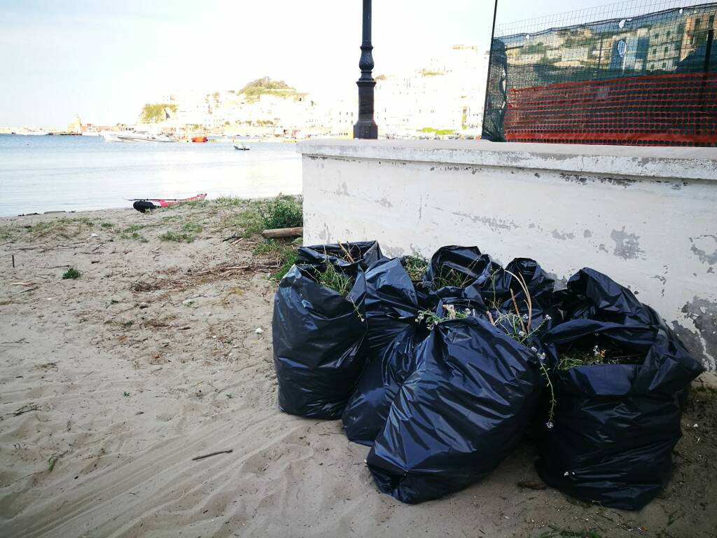 pulizie spiagge, Ponza