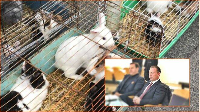Animali nelle gabbie alle sagre di Fiumicino, Severini: “Dove sono gli animalisti?”