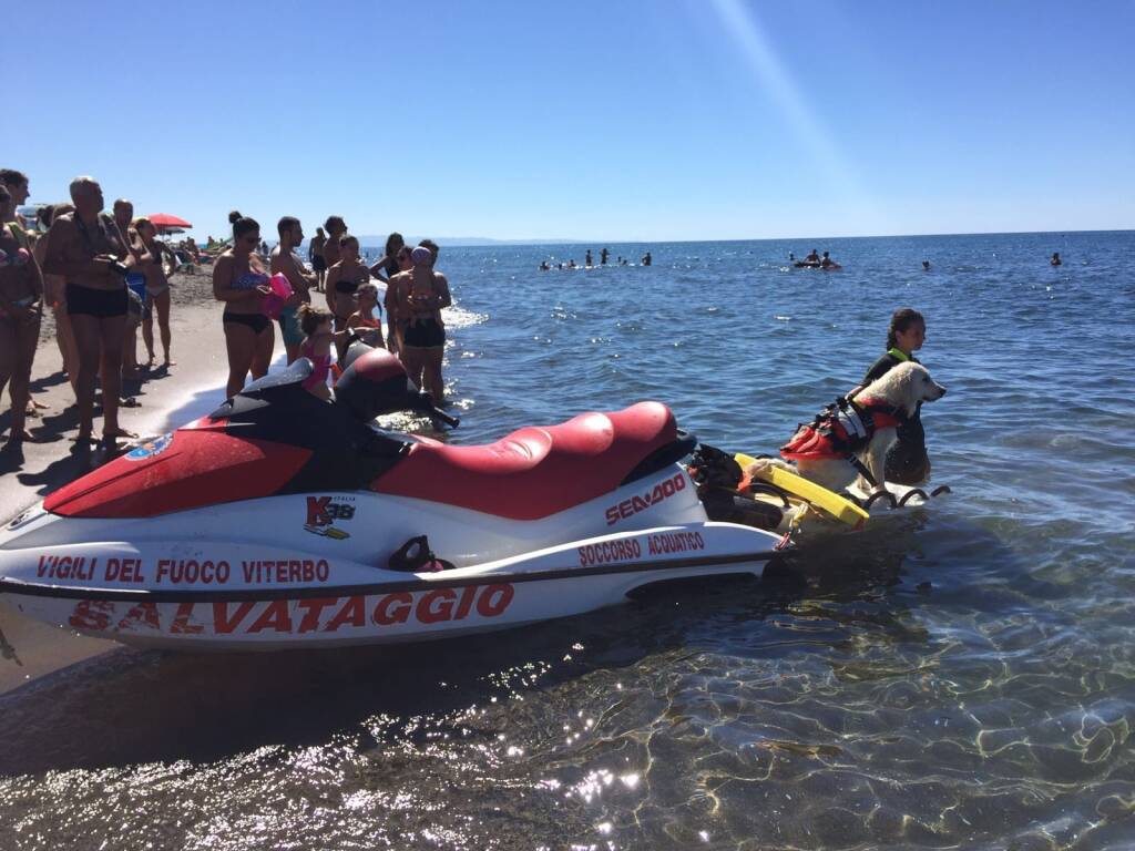 Al mare in sicurezza: sulle spiagge libere di Montalto di Castro torrette e cani bagnino