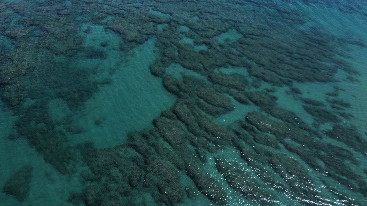 Dopo la diciassettesima Bandiera Blu, Anzio conquista anche la Bandiera Verde 2022