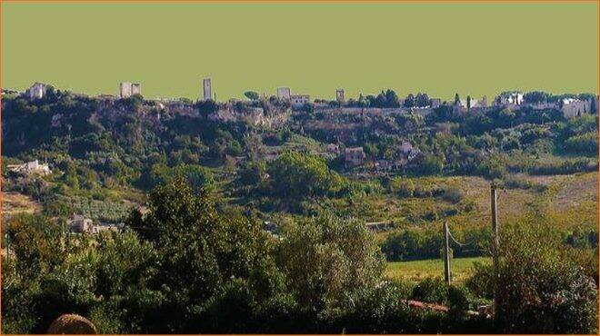 Tarquinia, al via la 12° edizione del Festival della Complessità