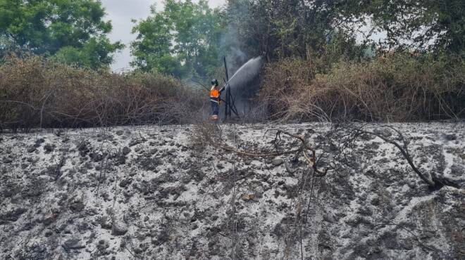 incendio ardea