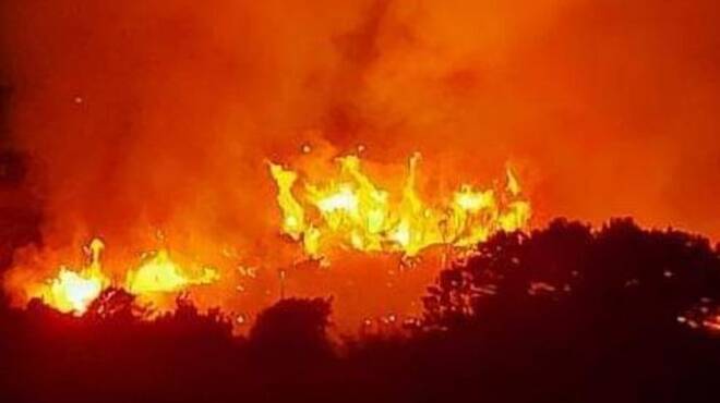Italia martoriata dagli incendi, rasi al suolo ettari di vegetazione