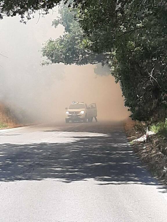 Incendio a Maccarese, brucia un campo di sterpaglie: elicottero in azione per spegnere il rogo