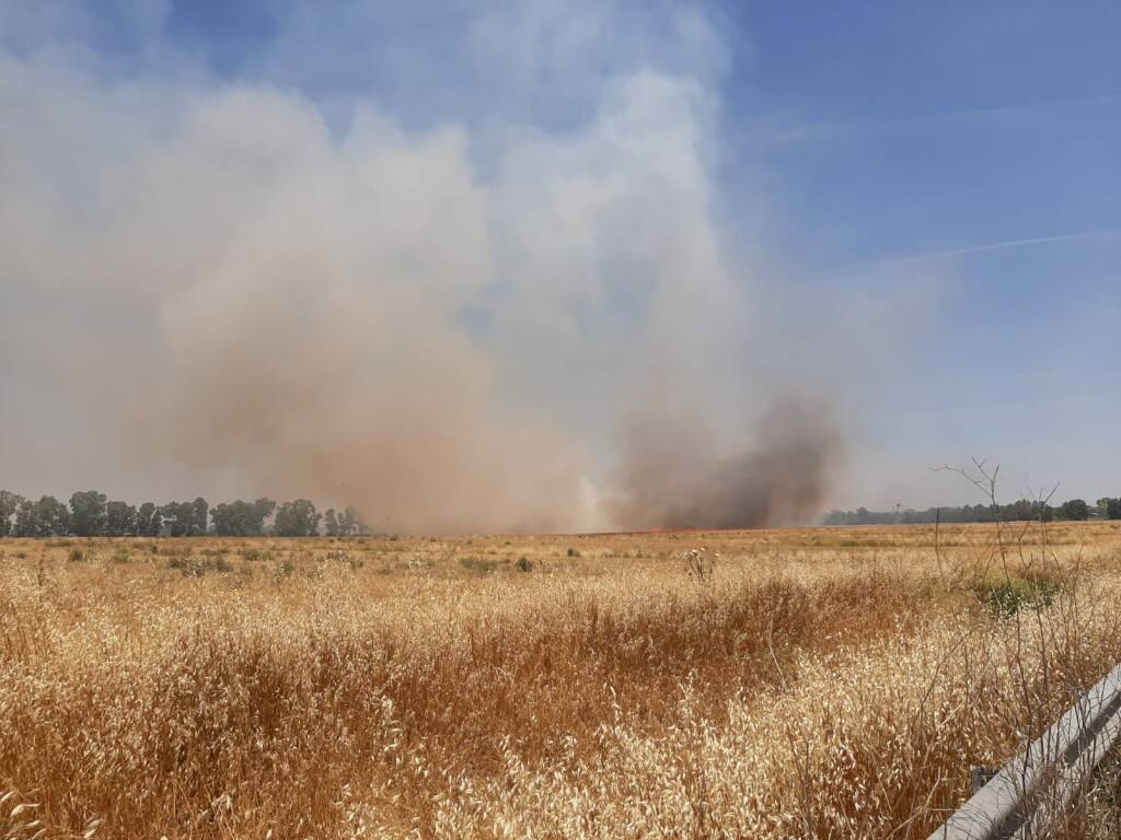 Incendio a Maccarese, brucia un campo di sterpaglie: elicottero in azione per spegnere il rogo