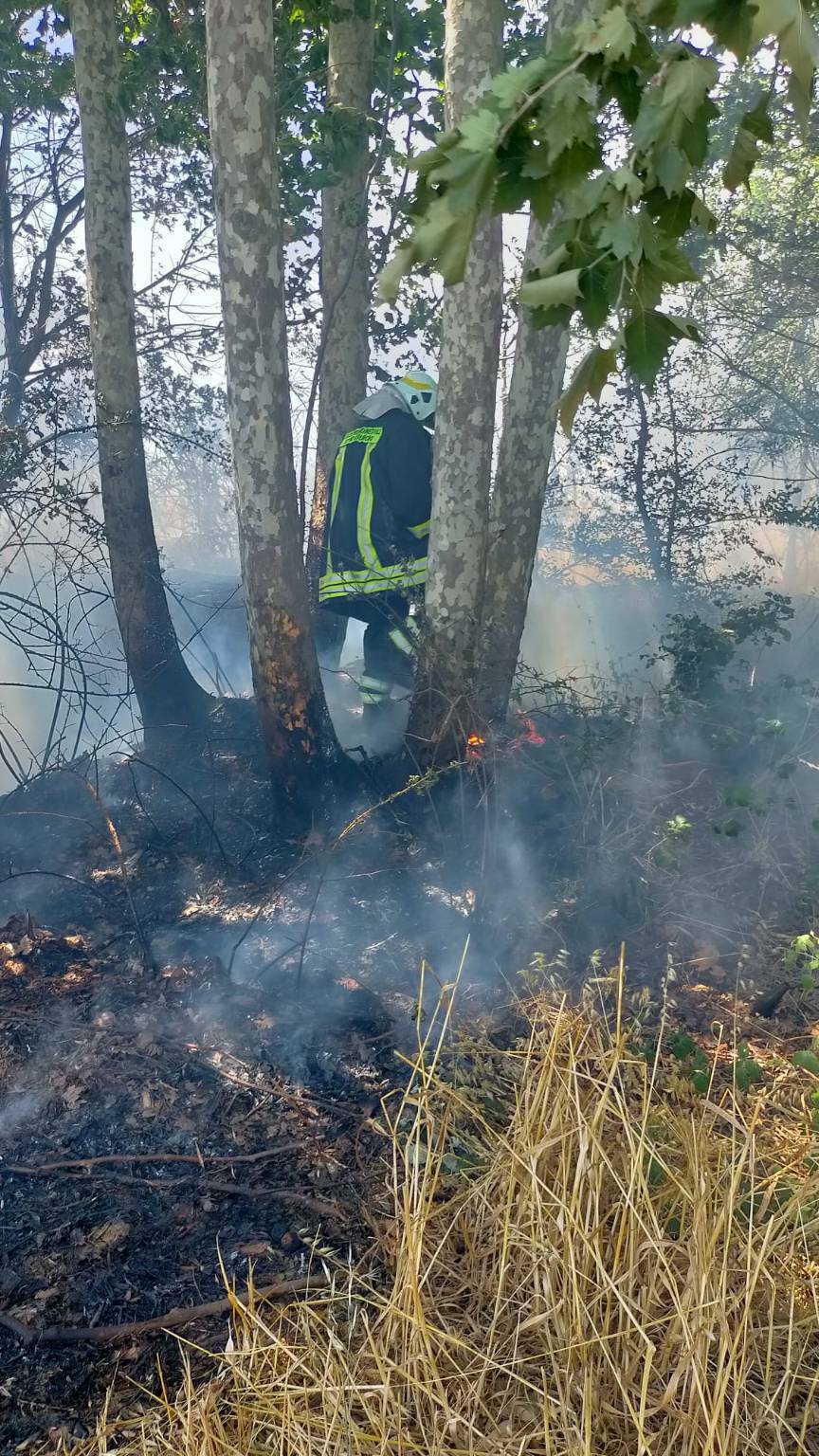 Incendio a Maccarese, brucia un campo di sterpaglie: elicottero in azione per spegnere il rogo