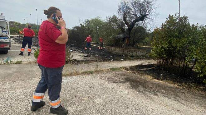 Acilia, Parco della Madonnetta avvolto dalle fiamme: bruciano alberi e rifiuti