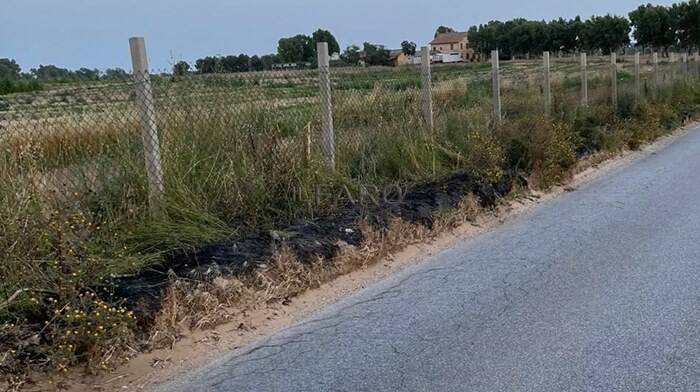 Dava fuoco alle sterpaglie lungo le strade: identificato il piromane di Passoscuro