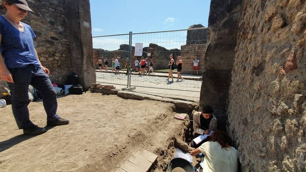 Nuova scoperta a Pompei: una tartaruga intatta (e il suo uovo mai deposto) – FOTO