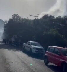 Brucia la provincia pontina, incendio nel Parco del Circeo divora 8 ettari di macchia mediterranea