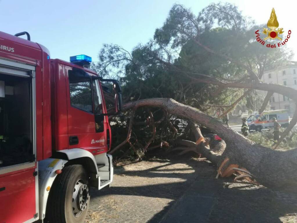 Roma e il litorale flagellati dal maltempo nella notte: ora si contano i danni