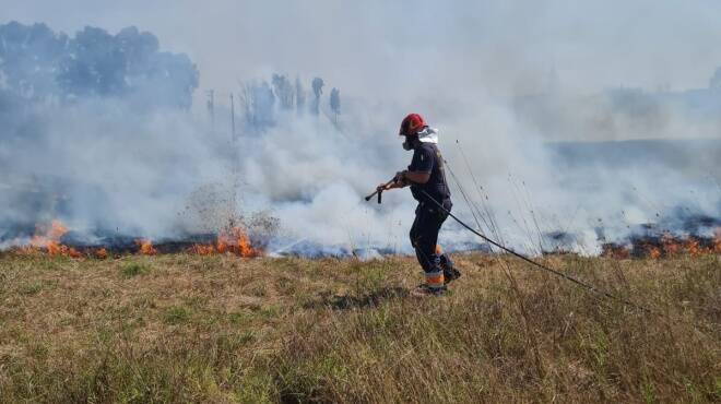 Ardea, incendio in via delle Pinete: bruciano alberi e rifiuti a ridosso delle case