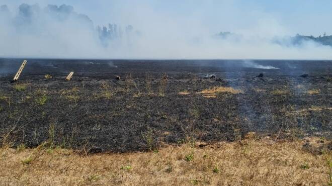 Ardea, incendio in via delle Pinete: bruciano alberi e rifiuti a ridosso delle case