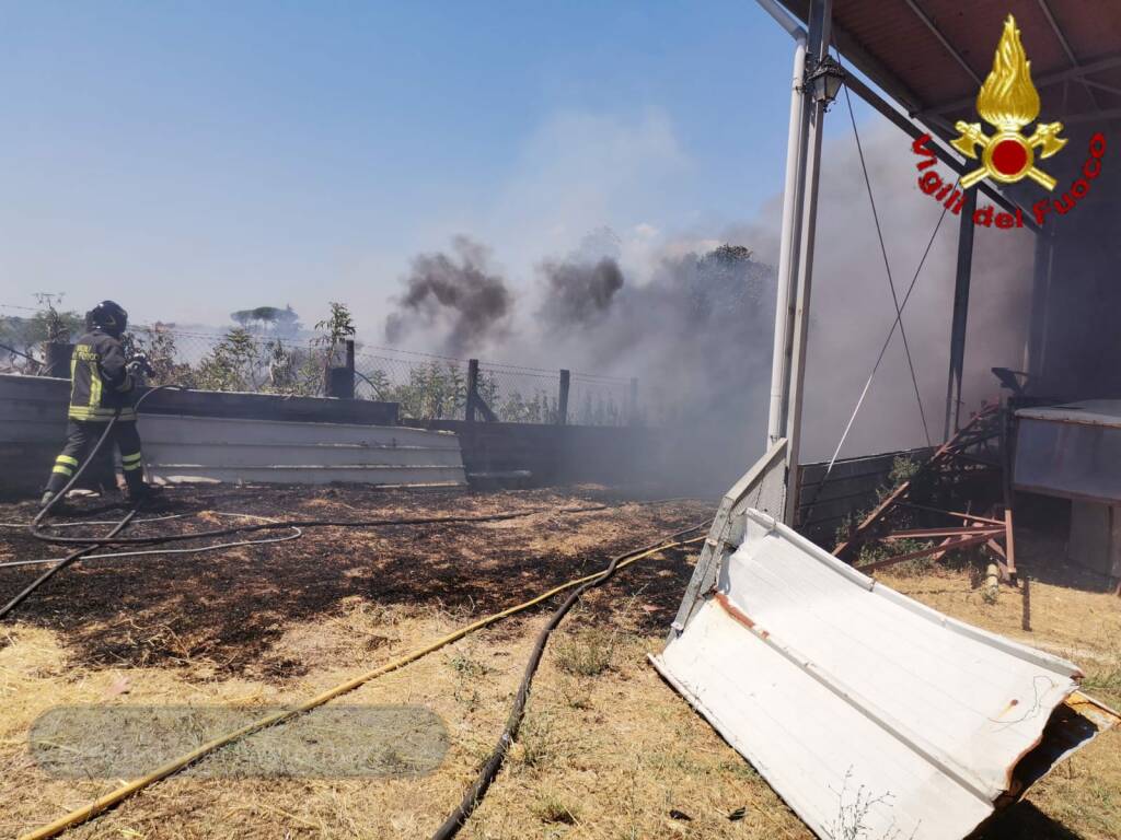 Incendio a Palidoro, bruciano sterpaglie e un capannone: intossicato un uomo