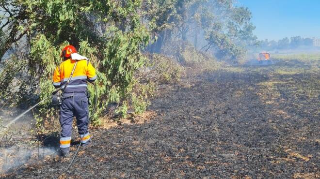 Vasto incendio sul lungomare di Tor San Lorenzo: le fiamme minacciano le abitazioni