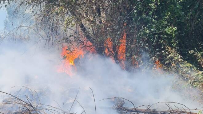 Vasto incendio sul lungomare di Tor San Lorenzo: le fiamme minacciano le abitazioni