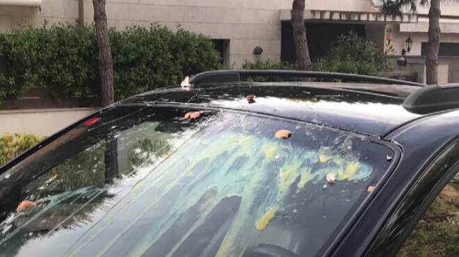 Nuova Florida, parcheggiano l’auto e vanno a cena fuori: la trovano ricoperta di uova