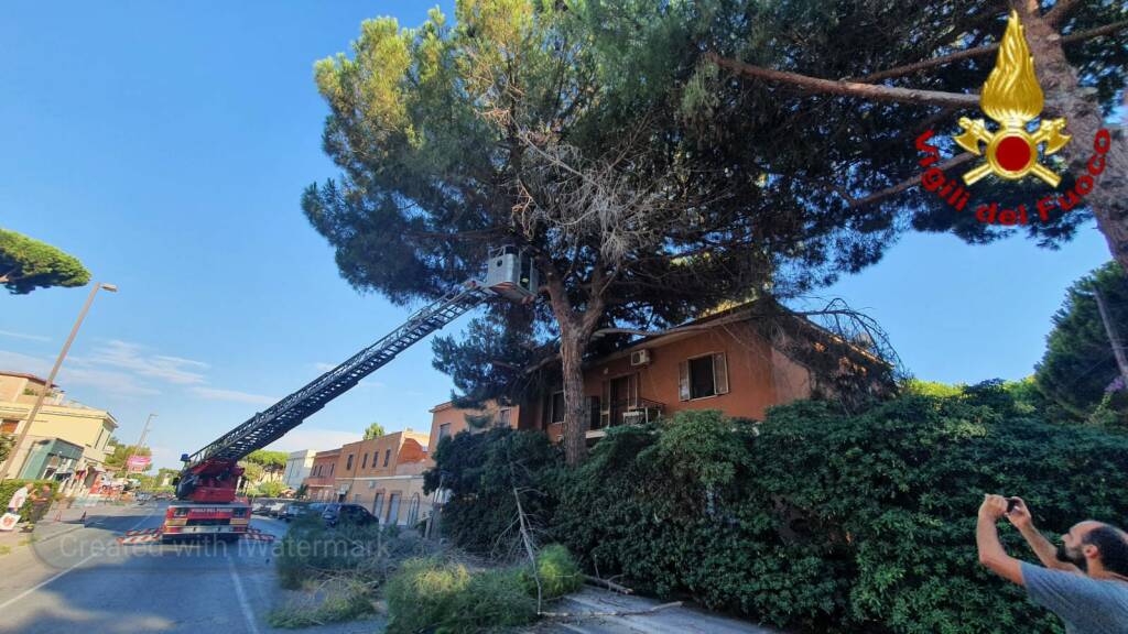Santa Marinella, un albero rischia di cadere su via Aurelia: pompieri al lavoro