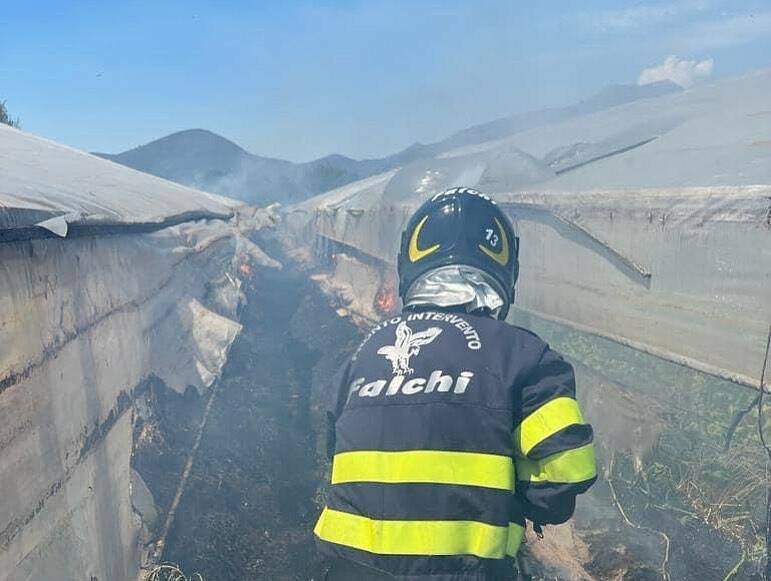 Inferno di fuoco a Fondi, raffica di incendi: le fiamme distruggono serre e minacciano case