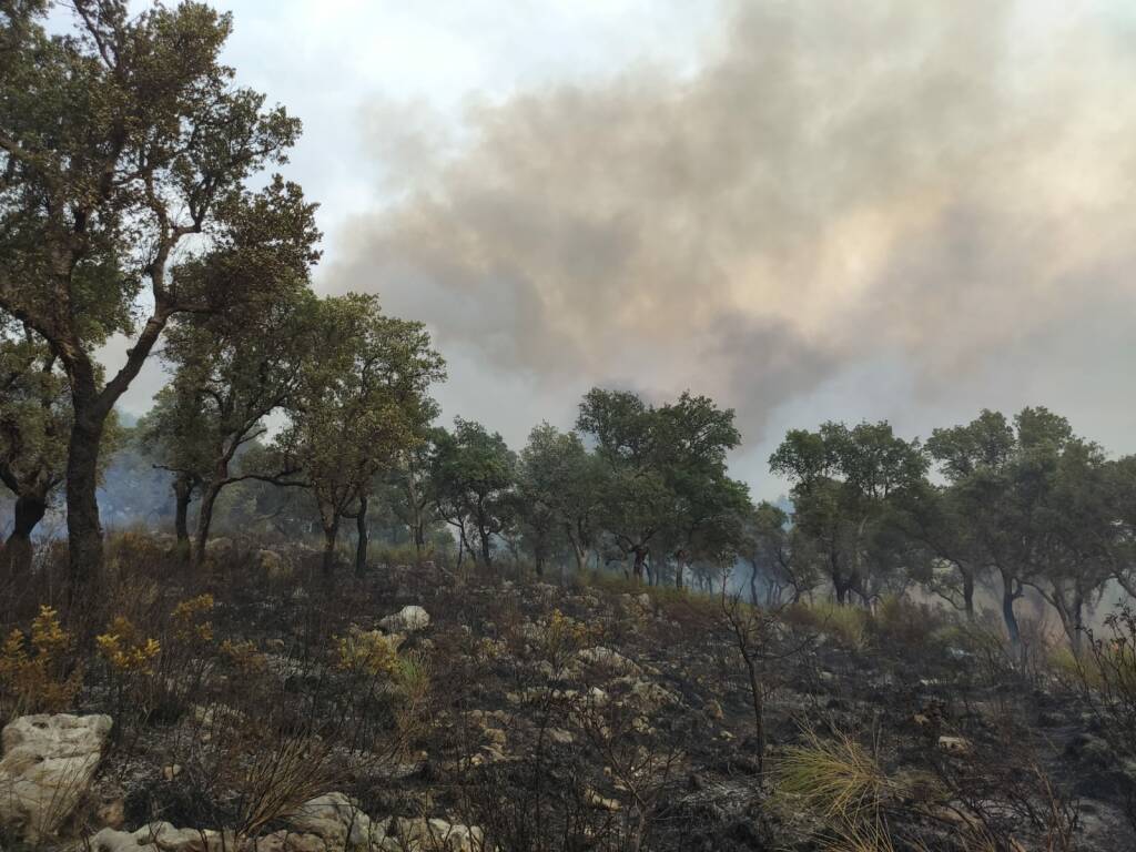 incendi gaeta