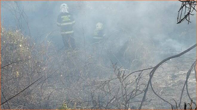Giornata di “fuoco” a Fiumicino: incendio devastante a Fregene