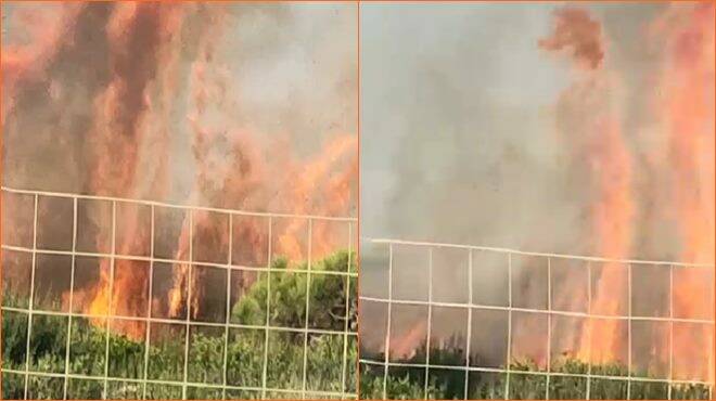 Giornata di “fuoco” a Fiumicino: incendio devastante a Fregene