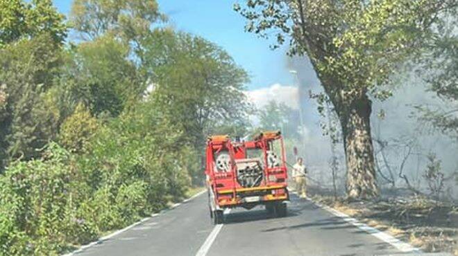 Fiumicino, a fuoco il canneto vicino QC Terme: via Portuense momentaneamente chiusa al traffico