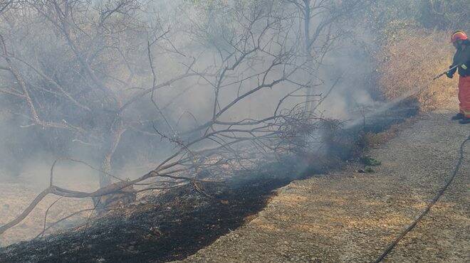 Estate di fuoco per la Protezione Civile di Cerveteri: spenti e bonificati 71 incendi