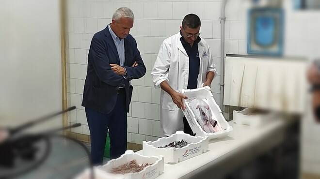Luciano Ciocchetti all'asta del pesce a Fiumicino