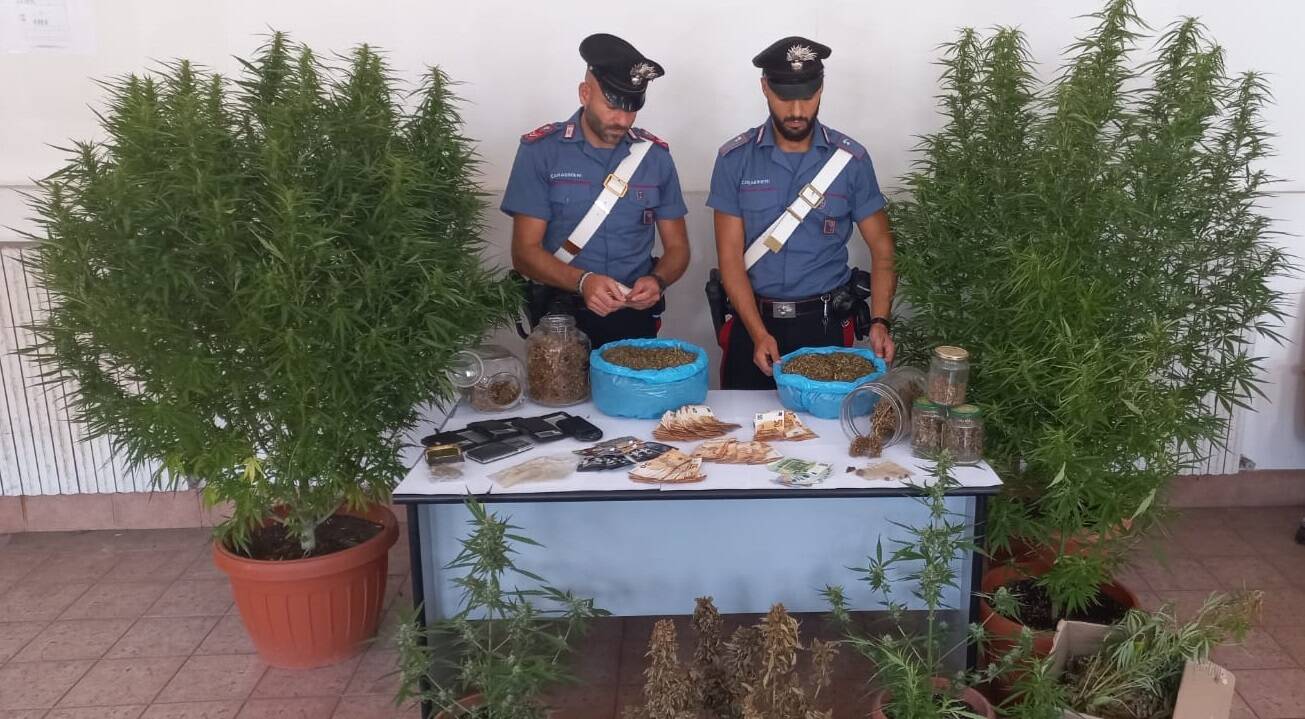 Marijuana a km 0 a Roma: scoperte due maxi piantagioni a Tor de’ Cenci e al Quarticciolo
