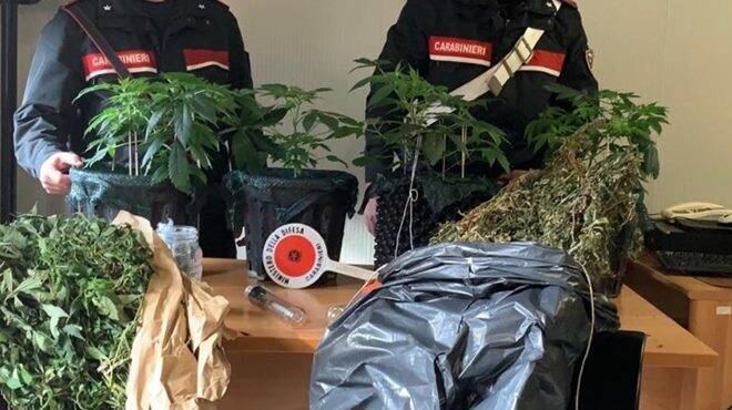 Ponte Galeria, coltiva marijuana sul terreno della madre: in manette pregiudicato