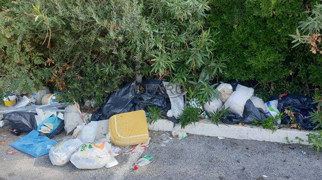 Fiumicino, rifiuti abbandonati e “nascosti” tra le siepi: degrado a via del Faro