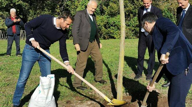 Giornata Internazionale dell’albero: in arrivo 1 milione di alberature a Roma e nell’hinterland