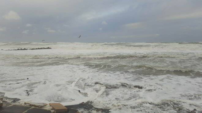 Maltempo ad Ostia, il mare fa paura: schiuma e detriti invadono le spiagge