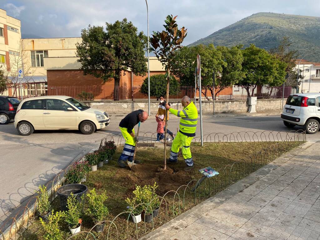 Giornata dell’Albero a Fondi: il Parco dei Monti Aurunci dona 40 alberi alla città